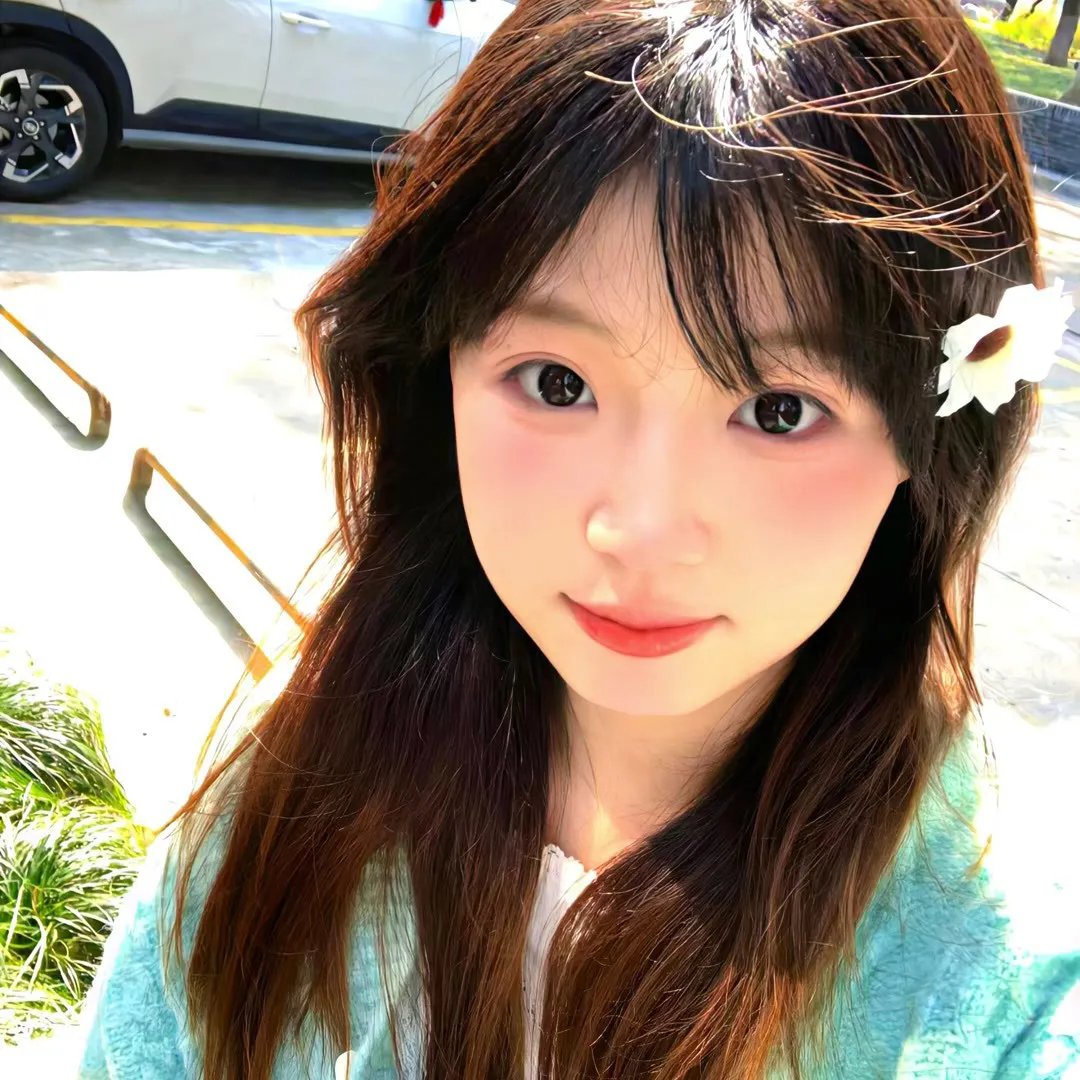 陆行鲨